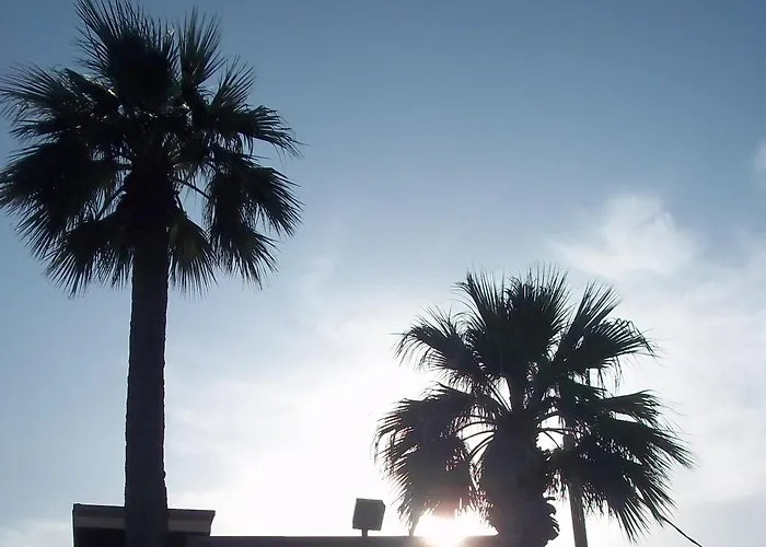 Whispering Palms Inn
