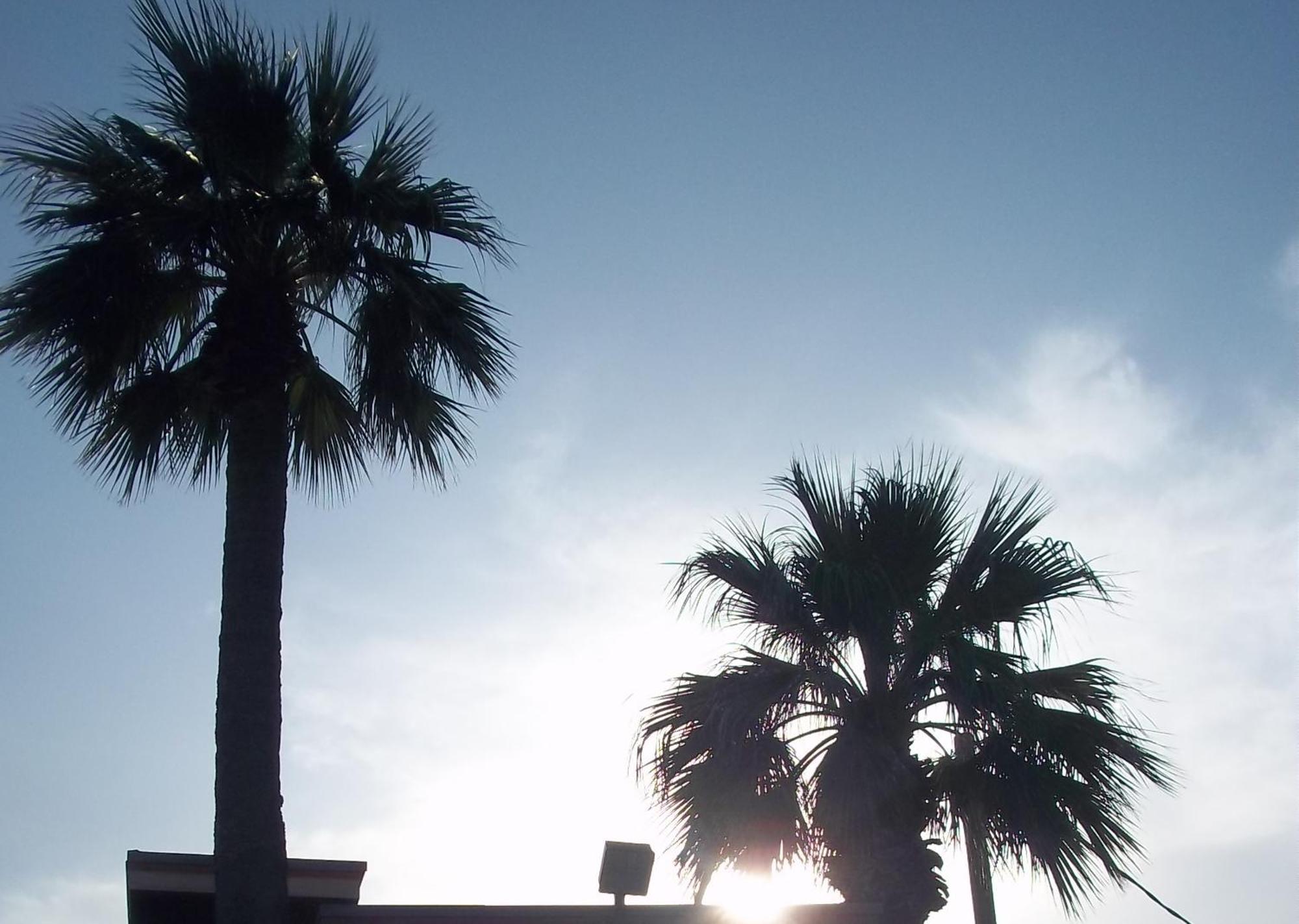 Whispering Palms Del Rio